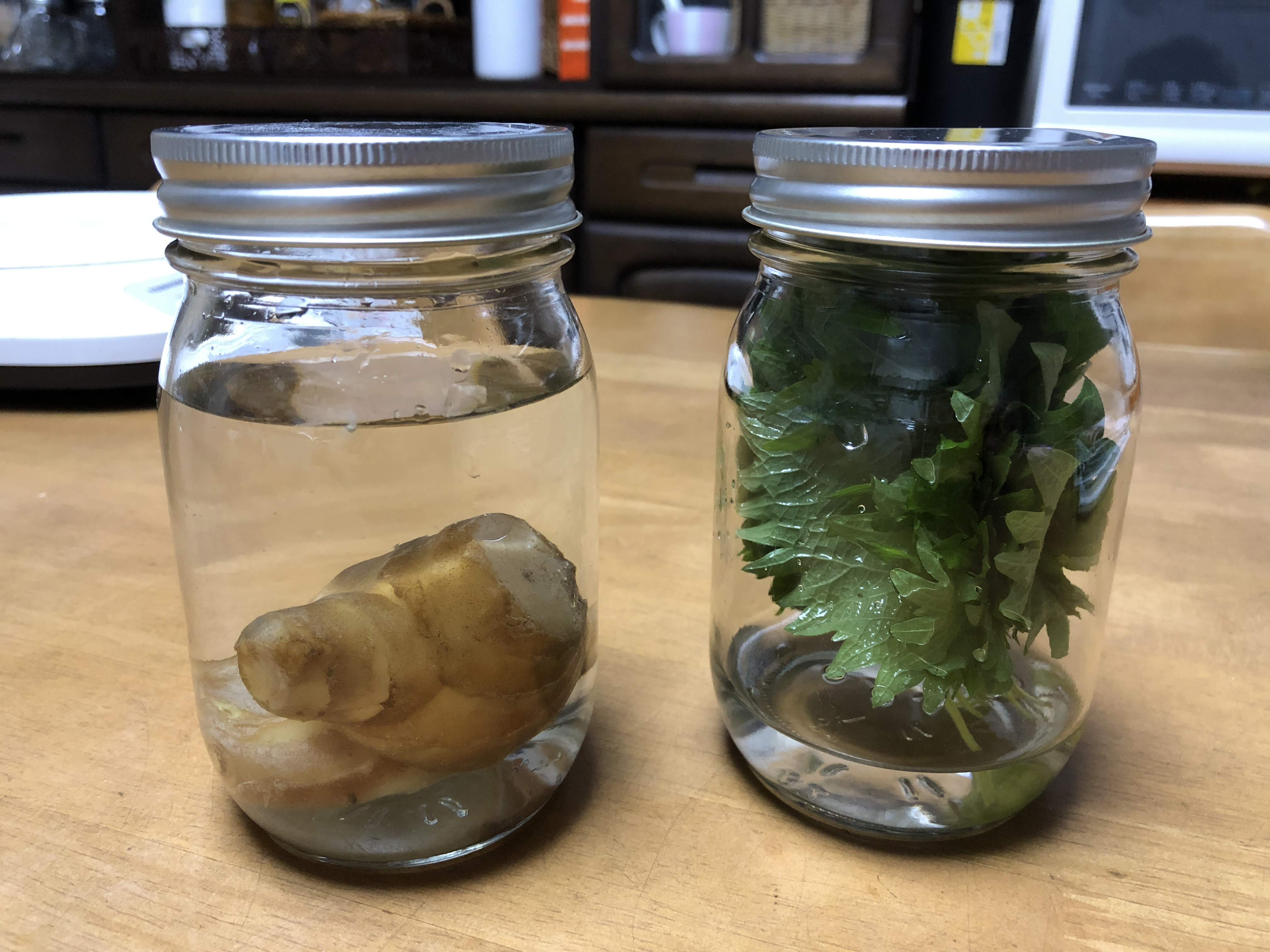長持ちする保存方法☆ショウガと大葉