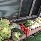 金時人参でポタージュ作ったら何色になるかな？