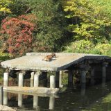 世界遺産！百舌鳥古墳群☆いたすけ古墳