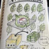 ロルバーン絵日記☆柿の葉寿司作成！豆腐を作る時の木枠で作ってみた♩